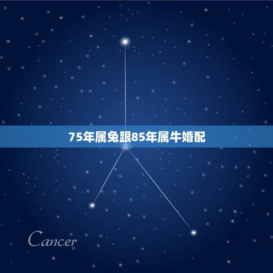 75年属兔跟85年属牛婚配,1985年出生的属牛女和1975年出生属兔 75年属兔跟85年属牛婚配,1985年出生的属牛女和1975年出生属兔