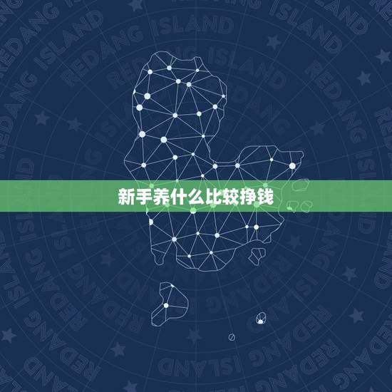 新手养什么比较挣钱,现在养什么养殖最简单又挣钱? 新手养什么比较挣钱,现在养什么养殖最简单又挣钱?