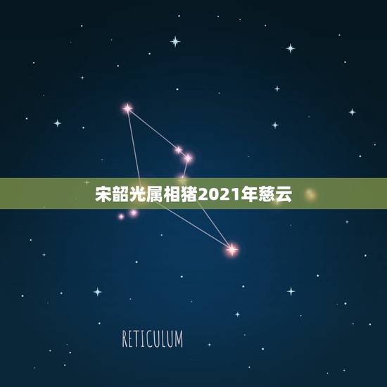 宋韶光属相猪2021年慈云，2016年宋韶光吉祥物