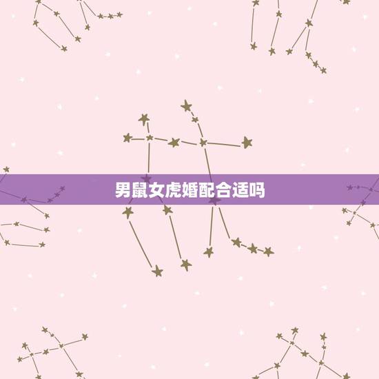 男鼠女虎婚配合适吗,男属鼠女属虎婚姻状况 男鼠女虎婚配合适吗,男属鼠女属虎婚姻状况