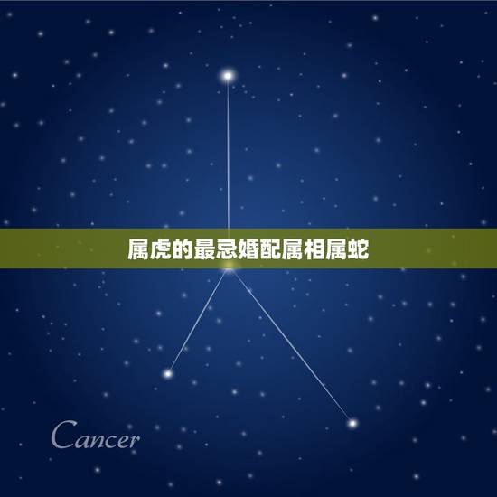 属虎的最忌婚配属相属蛇,属虎和属蛇的婚配如何 属虎的最忌婚配属相属蛇,属虎和属蛇的婚配如何