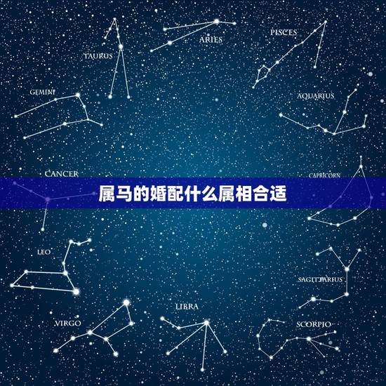 属马的婚配什么属相合适,属马人更佳婚配生肖 属马的婚配什么属相合适,属马人更佳婚配生肖