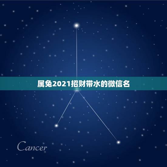 属兔2021招财带水的微信名，63年属免用什么头像最好？