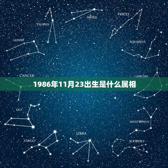 1986年11月23出生是什么属相，86年属虎的火命11月份的是什么星