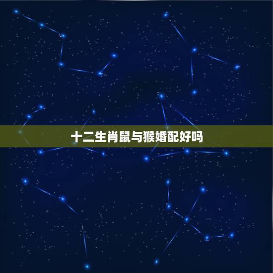 十二生肖鼠与猴婚配好吗，属猴的和属鼠的情侣相配吗？