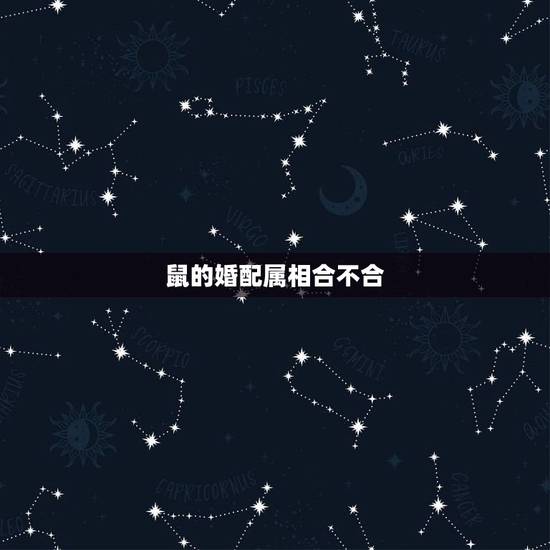 鼠的婚配属相合不合,属鼠的婚配什么属相 鼠的婚配属相合不合,属鼠的婚配什么属相