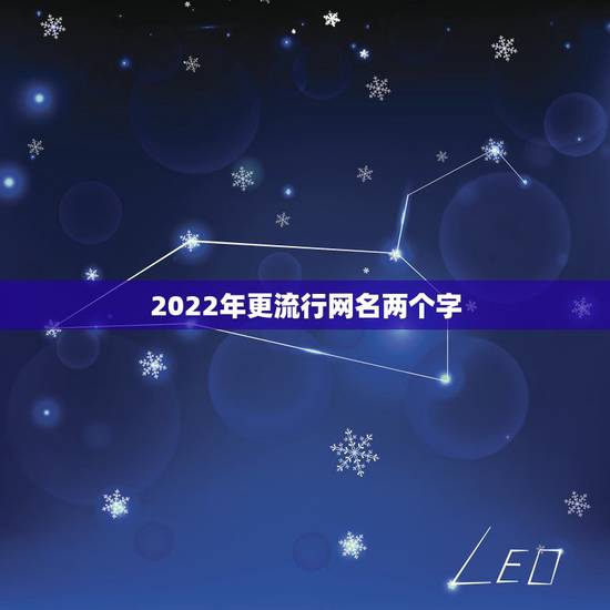 2022年更流行网名两个字，2023更流行网名两个字