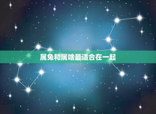 属兔和属啥最适合在一起，属兔和什么属相比较相配