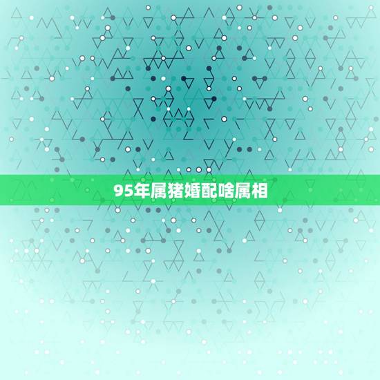 95年属猪婚配啥属相,95年属猪的和97年属牛的女相配吗? 95年属猪婚配啥属相,95年属猪的和97年属牛的女相配吗?