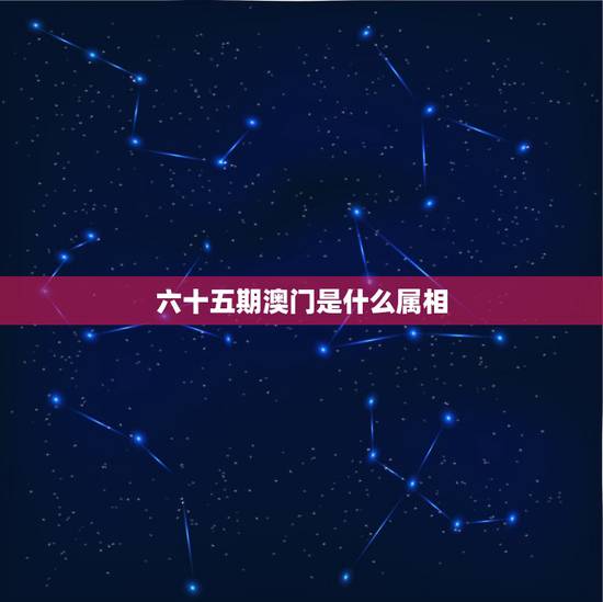 六十五期澳门是什么属相,六十五期开什么生肖 六十五期澳门是什么属相,六十五期开什么生肖