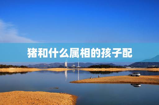 猪和什么属相的孩子配,属猪的和什么属相配 猪和什么属相的孩子配,属猪的和什么属相配