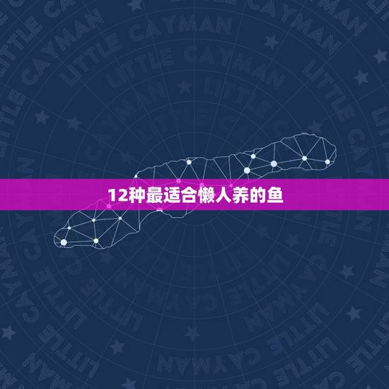 12种最适合懒人养的鱼 懒人适合养什么小型鱼 12种最适合懒人养的鱼 懒人适合养什么小型鱼