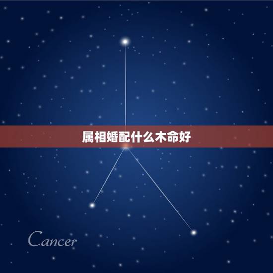 属相婚配什么木命好，大林木命和大林木命相配吗