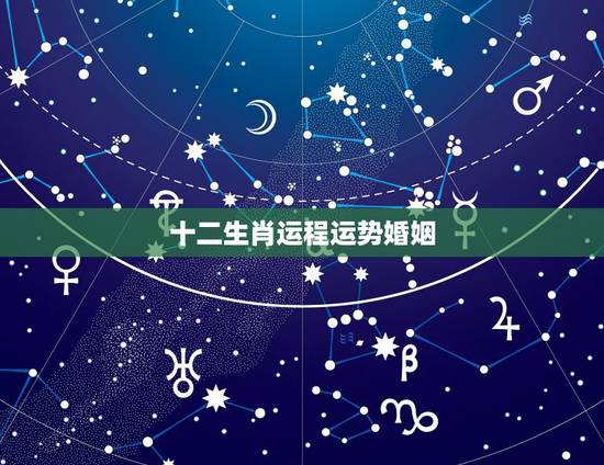 十二生肖运程运势婚姻，2009年十二生肖运程