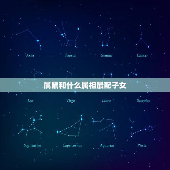 属鼠和什么属相最配子女，属鼠的和什么属相最配