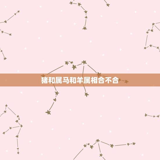 猪和属马和羊属相合不合，属马和属猪合不合财运
