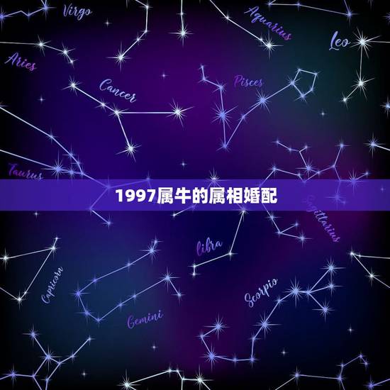 1997属牛的属相婚配,属牛的和什么属相最配 属牛的属相婚配表 1997属牛的属相婚配,属牛的和什么属相最配 属牛的属相婚配表