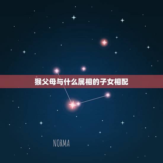 猴父母与什么属相的子女相配，男属马女属猴要什么属相的孩子好
