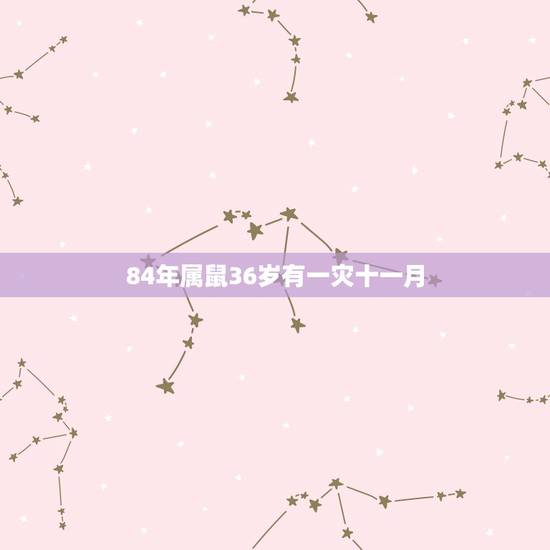 84年属鼠36岁有一灾十一月，84年属鼠的最佳配偶