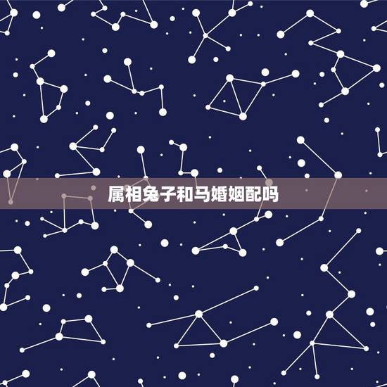 属相兔子和马婚姻配吗，90年男属马配女兔婚姻好吗