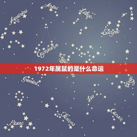 1972年属鼠的是什么命运，96年属鼠几月命不好