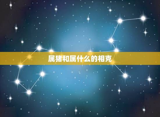 属猪和属什么的相克,属猪的和那个属相相克 属猪和属什么的相克,属猪的和那个属相相克