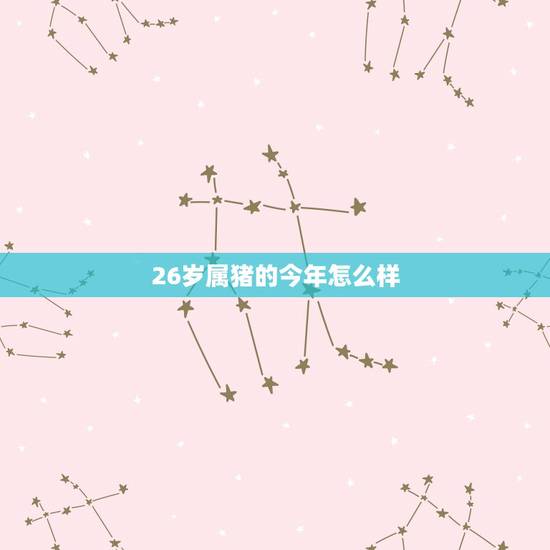 26岁属猪的今年怎么样，96年属鼠25岁婚姻状况