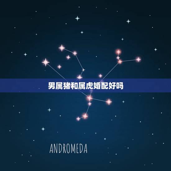 男属猪和属虎婚配好吗,属虎的和属猪的相配吗 男属猪和属虎婚配好吗,属虎的和属猪的相配吗