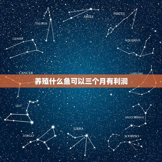 养殖什么鱼可以三个月有利润，现在养殖什么鱼最赚钱