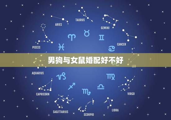 男狗与女鼠婚配好不好，女鼠与男狗的婚配