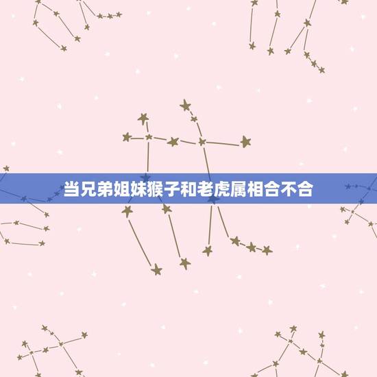 当兄弟姐妹猴子和老虎属相合不合，属虎与属猴是兄妹的生肖相克吗？