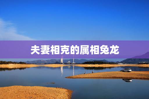 夫妻相克的属相兔龙,蛇和兔配婚姻好不好 夫妻相克的属相兔龙,蛇和兔配婚姻好不好