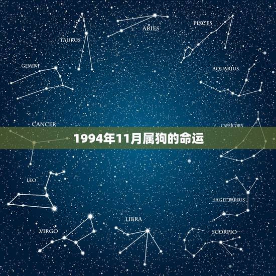 1994年11月属狗的命运,1994年属狗农历11月19日是不是命运不 1994年11月属狗的命运,1994年属狗农历11月19日是不是命运不