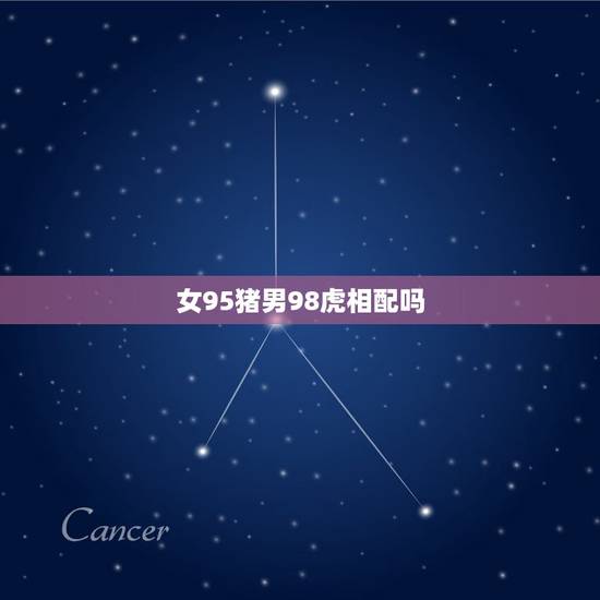 女95猪男98虎相配吗,95男猪98女虎八字 女95猪男98虎相配吗,95男猪98女虎八字