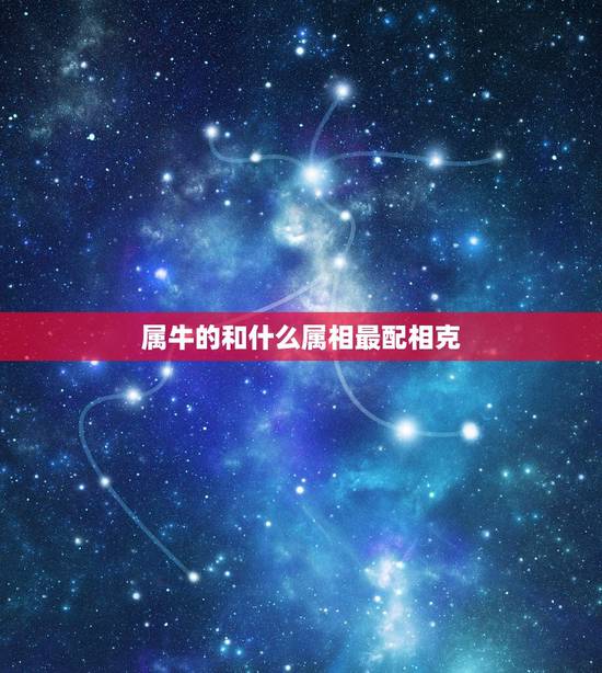 属牛的和什么属相最配相克,男属虎的和什么属相最配 属牛的和什么属相最配相克,男属虎的和什么属相最配