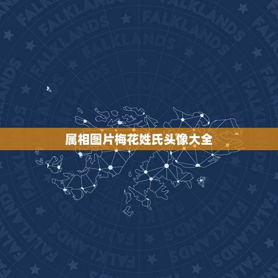 属相图片梅花姓氏头像大全，怎样用姓氏图片制作微信头像