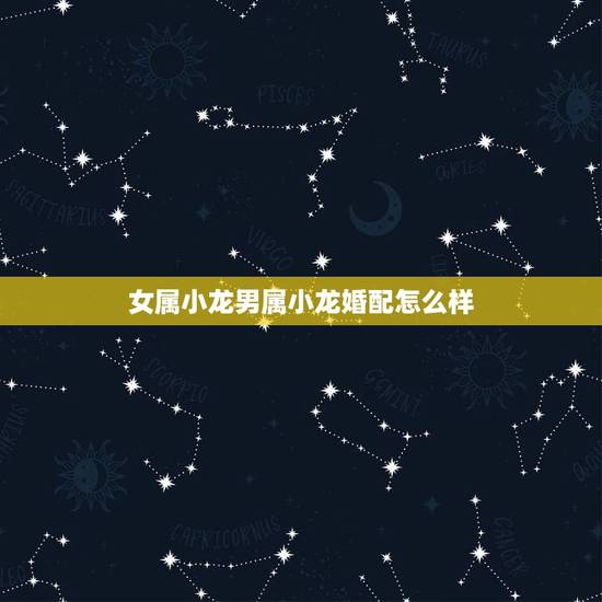 女属小龙男属小龙婚配怎么样,属狗的女和属小龙的男婚配好吗 女属小龙男属小龙婚配怎么样,属狗的女和属小龙的男婚配好吗