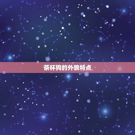 茶杯狗的外貌特点 茶杯狗的外貌特点