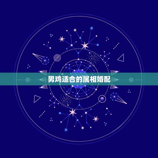男鸡适合的属相婚配，属鸡女的婚配表