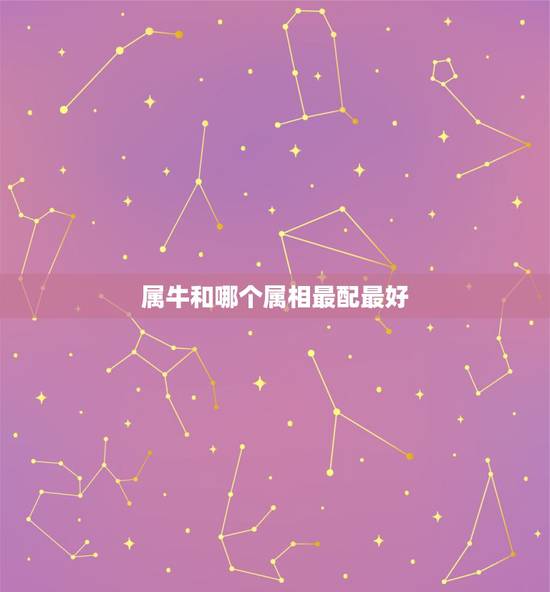 属牛和哪个属相最配最好，属牛的和什么属相最配