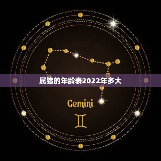 属猪的年龄表2022年多大,2022年生肖猪的全年运势 属猪的年龄表2022年多大,2022年生肖猪的全年运势