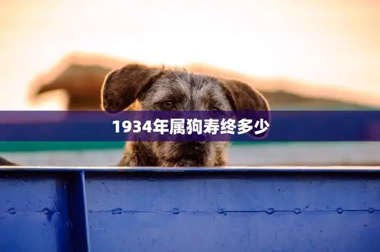1934年属狗寿终多少(狗年人寿命长短因个体差异而异) 1934年属狗寿终多少(狗年人寿命长短因个体差异而异)
