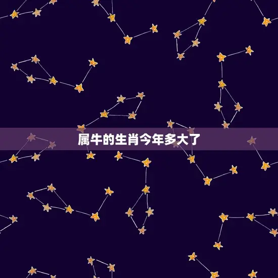 属牛的生肖今年多大了