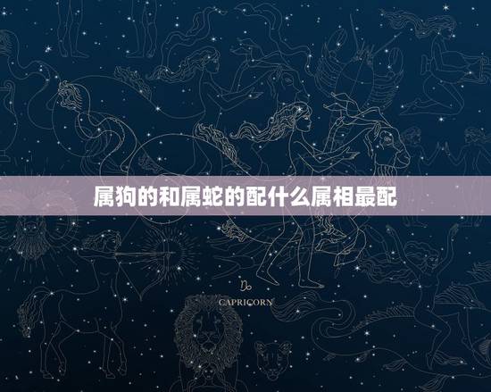 属狗的和属蛇的配什么属相最配,属蛇的和属狗的配不配 属狗的和属蛇的配什么属相最配,属蛇的和属狗的配不配