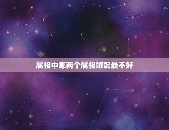 属相中哪两个属相婚配最不好,那两个属相最相配? 属相中哪两个属相婚配最不好,那两个属相最相配?