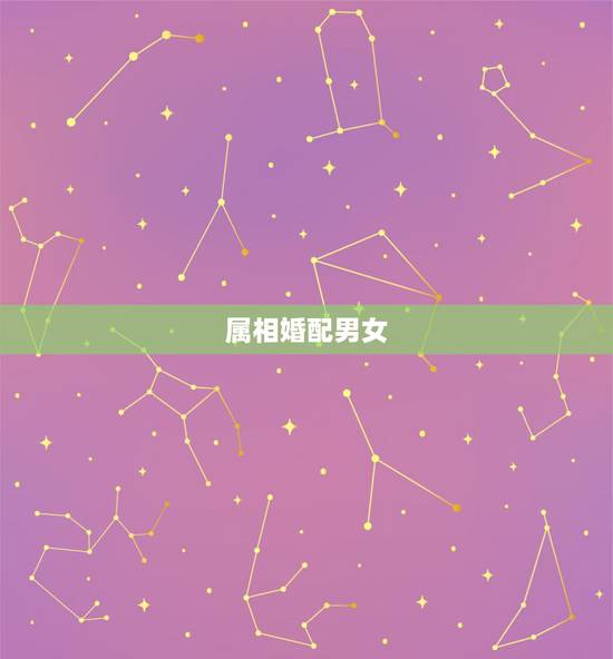 属相婚配男女,生肖配对查询男女 属相婚配男女,生肖配对查询男女