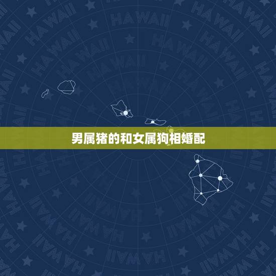 男属猪的和女属狗相婚配,谁可以告诉我男属猪的处女座和女属狗的天蝎座配吗 男属猪的和女属狗相婚配,谁可以告诉我男属猪的处女座和女属狗的天蝎座配吗