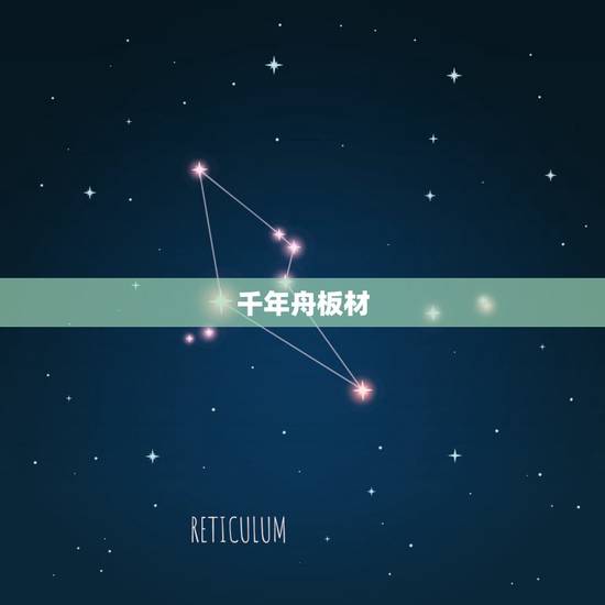 千年舟板材，千年舟板材是什么？