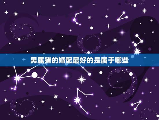 男属猪的婚配最好的是属于哪些,属相婚配,属猪的和什么属相最配 男属猪的婚配最好的是属于哪些,属相婚配,属猪的和什么属相最配