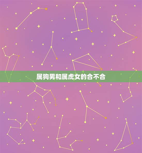 属狗男和属虎女的合不合，男属虎和女属狗在一起好吗？